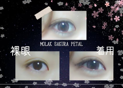 MOLAK 1day/MOLAK/ワンデー(1DAY)カラコンを使ったクチコミ(2枚目)