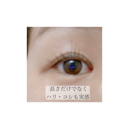 アイラッシュセラム/VIYEUX/まつげ美容液を使ったクチコミ(4枚目)