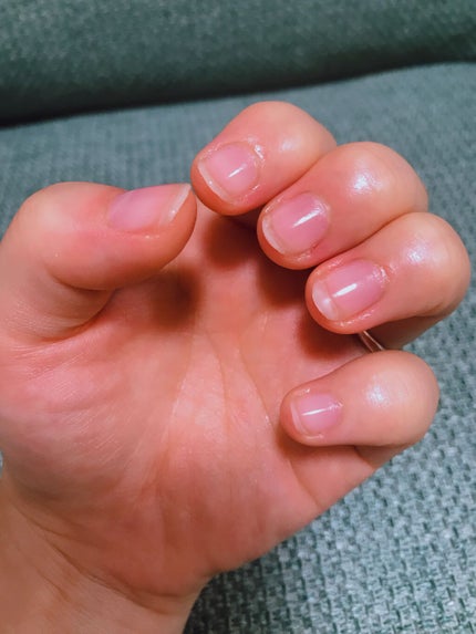 を使ったクチコミ(2枚目)