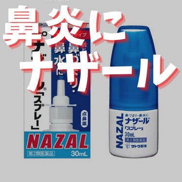 ナザール スプレー(医薬品)/佐藤製薬/その他を使ったクチコミ（1枚目）