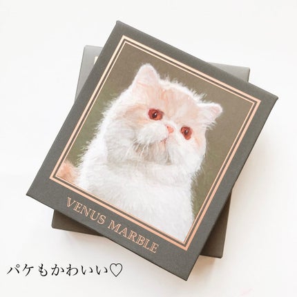 Venus Marble アイシャドウキャットシリーズ/Venus Marble/アイシャドウパレットを使ったクチコミ(3枚目)