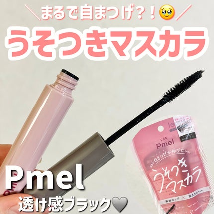 ピメル うそつきマスカラ/pdc/マスカラを使ったクチコミ(1枚目)