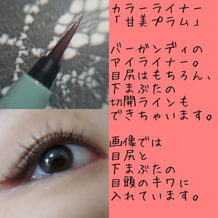 仕込みアイライナー /Fujiko/リキッドアイライナーを使ったクチコミ(4枚目)