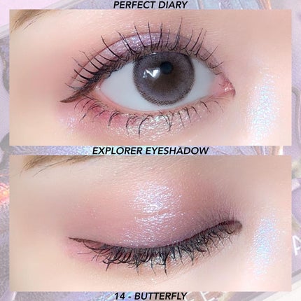 エクスプローラ12色 動物アイシャドウパレット/PERFECT DIARY/アイシャドウパレットを使ったクチコミ(6枚目)