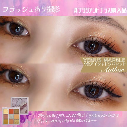 VenusMarble 9色アイシャドウパレット/Venus Marble/アイシャドウパレットを使ったクチコミ(6枚目)
