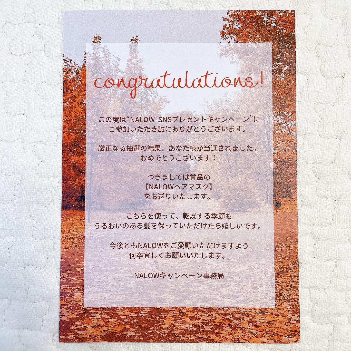 ヘアマスク/NALOW/アウトバストリートメントを使ったクチコミ（3枚目）