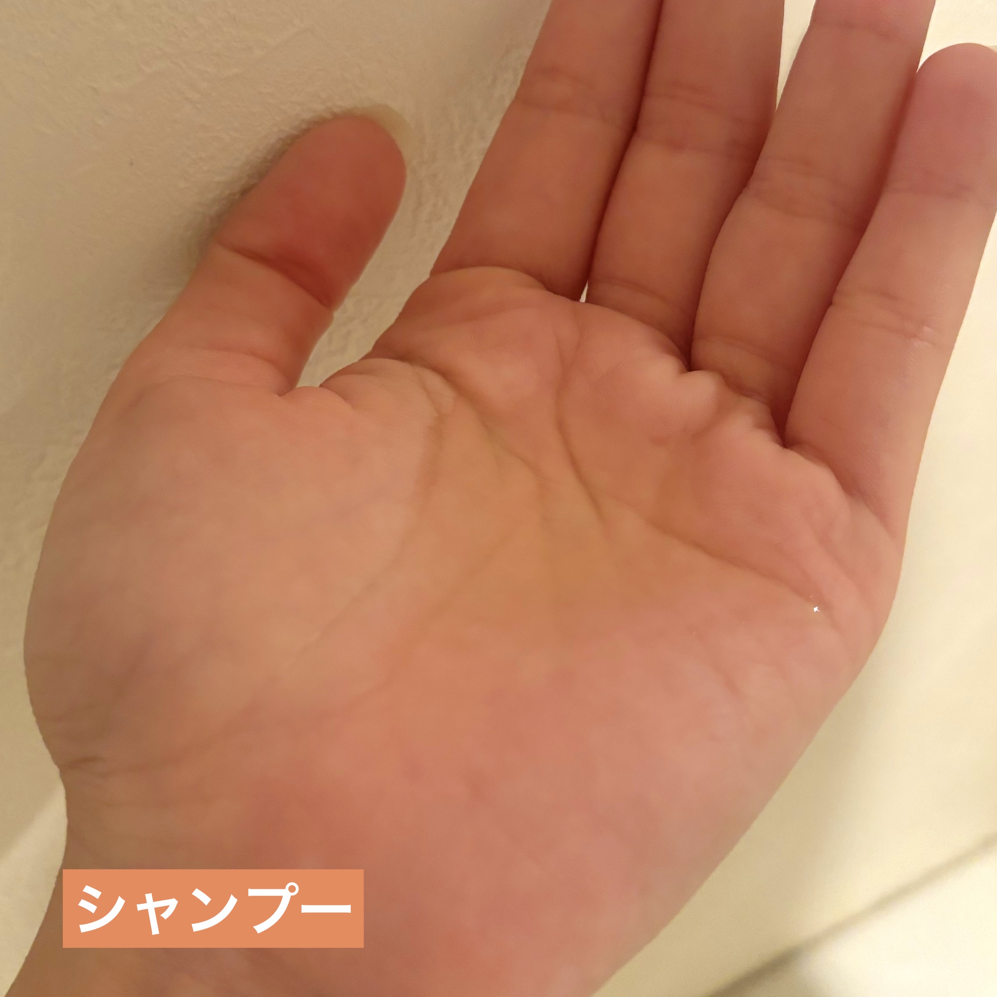 オイルインシャンプー／オイルインコンディショナー (グロス＆リペア)/ディアボーテ/市販シャンプーを使ったクチコミ（3枚目）