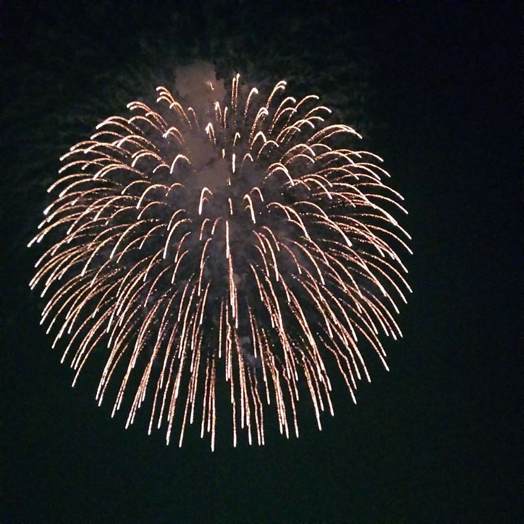 携帯用アイラッシュカーラー/無印良品/ビューラーを使ったクチコミ（3枚目）