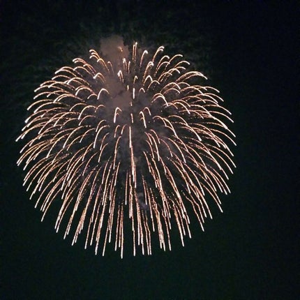 携帯用アイラッシュカーラー/無印良品/ビューラーを使ったクチコミ(3枚目)