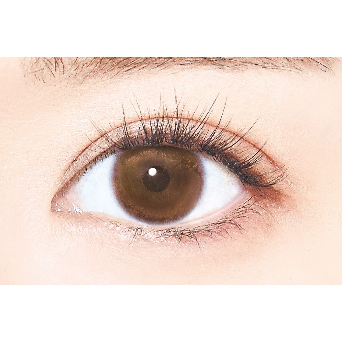 クイックエクステンション | 05 Vtype NATURAL（Vタイプナチュラル） D