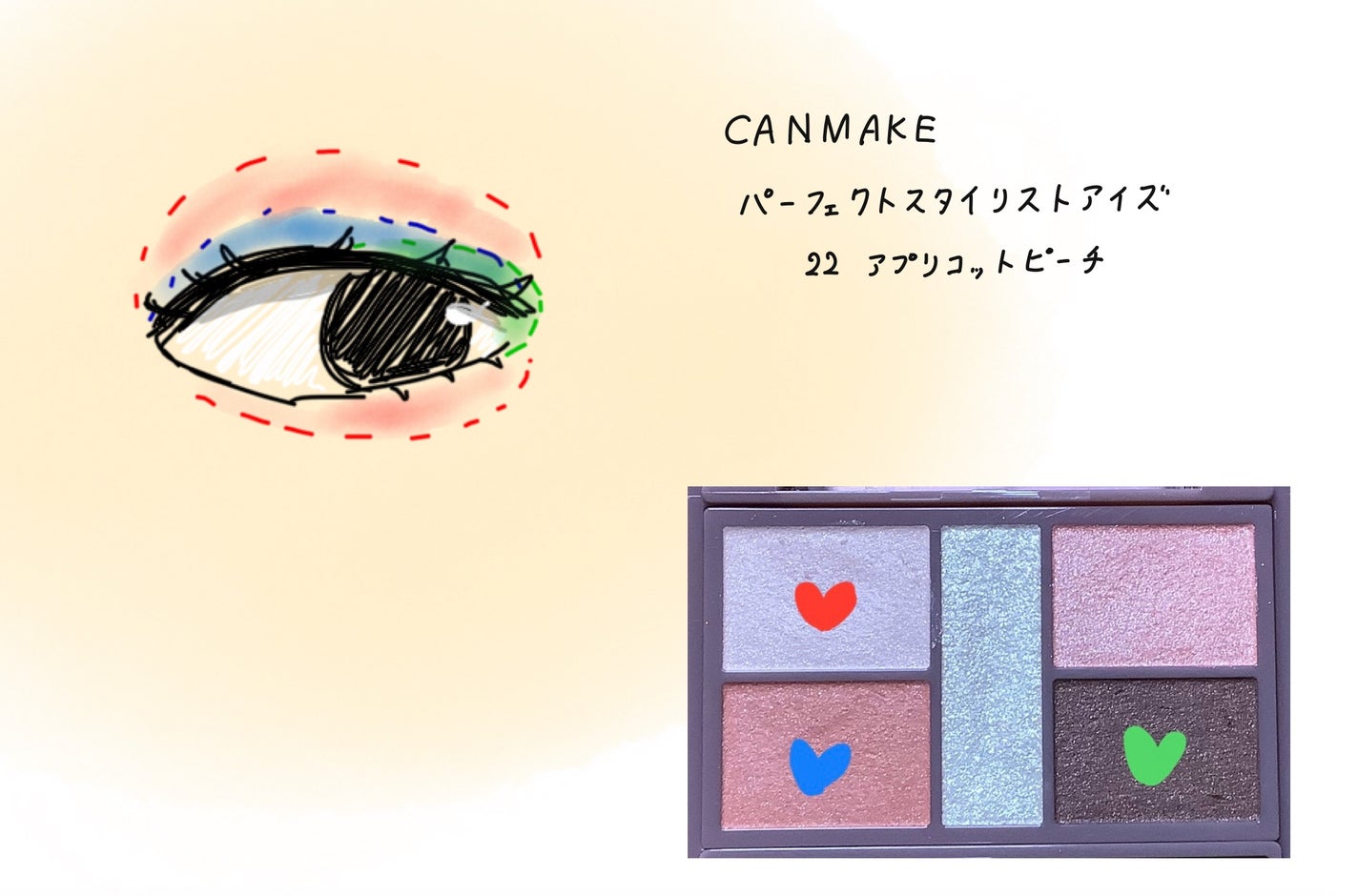 パーフェクトスタイリストアイズ/キャンメイク/アイシャドウパレットを使ったクチコミ(2枚目)