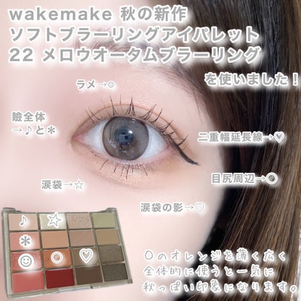 ソフトブラーリングアイパレット/wakemake/アイシャドウパレットを使ったクチコミ(3枚目)
