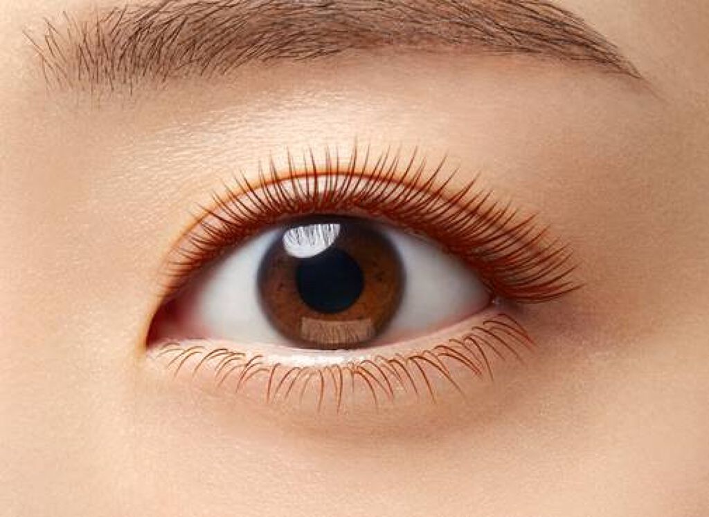 「塗るつけまつげ」自まつげ際立てタイプ/デジャヴュ/マスカラを使ったクチコミ（2枚目）