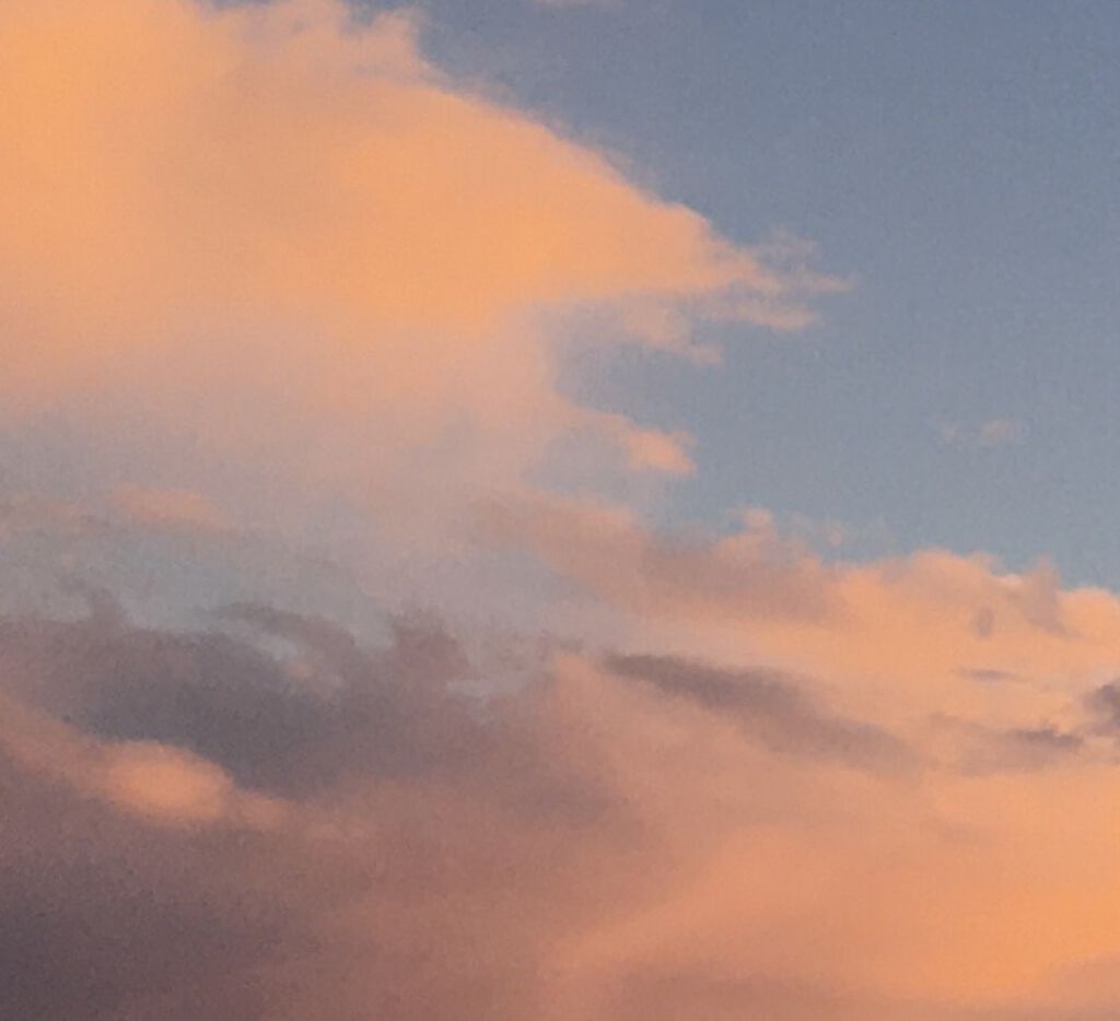 N&D パールハイライト/aZTK/パウダーハイライトを使ったクチコミ（1枚目）