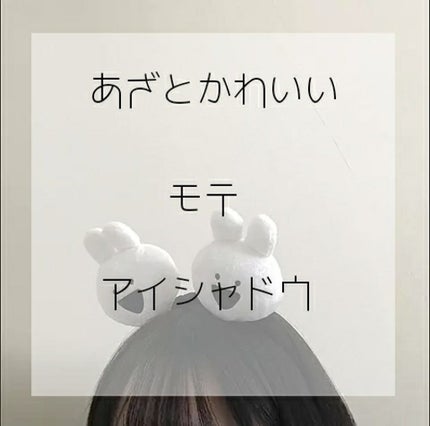 【旧品】パーフェクトスタイリストアイズ/キャンメイク/アイシャドウパレットを使ったクチコミ(1枚目)