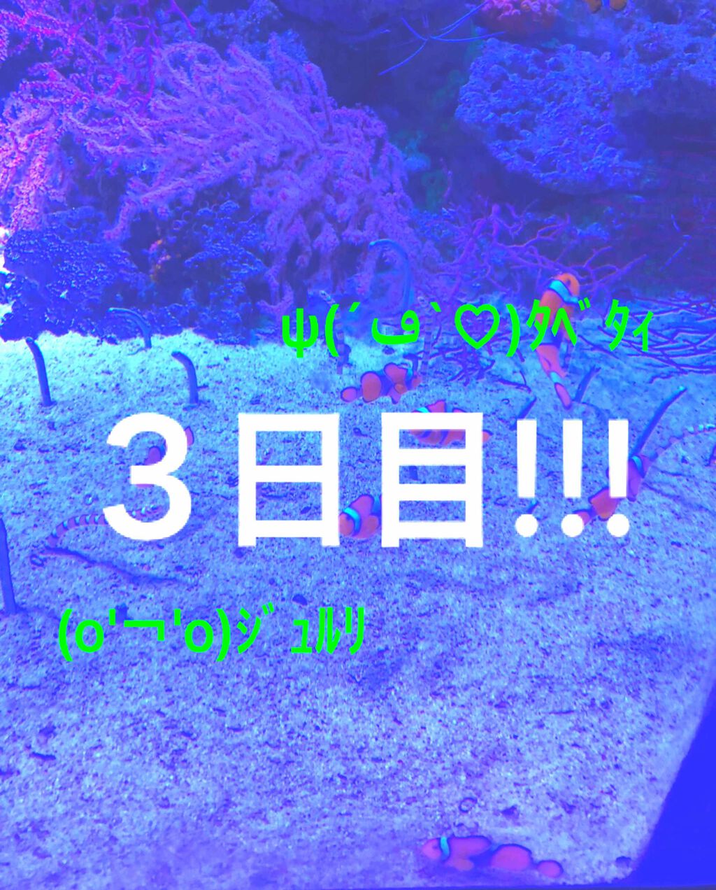 あかり on LIPS 「今日は甘いものが食べたくて食べたくてたまらない一日でした笑みな..」(1枚目)