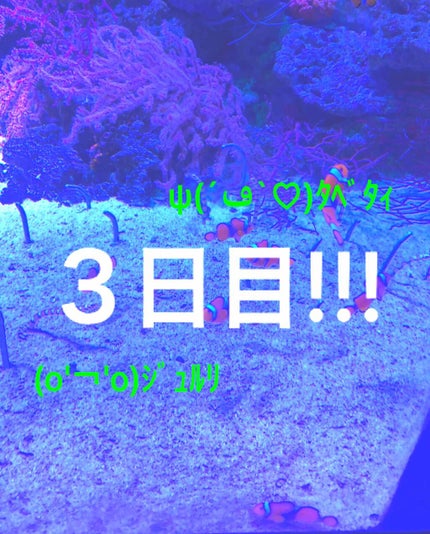 ã䜿ã£ãã¯ãã³ãïŒ1æç®ïŒ