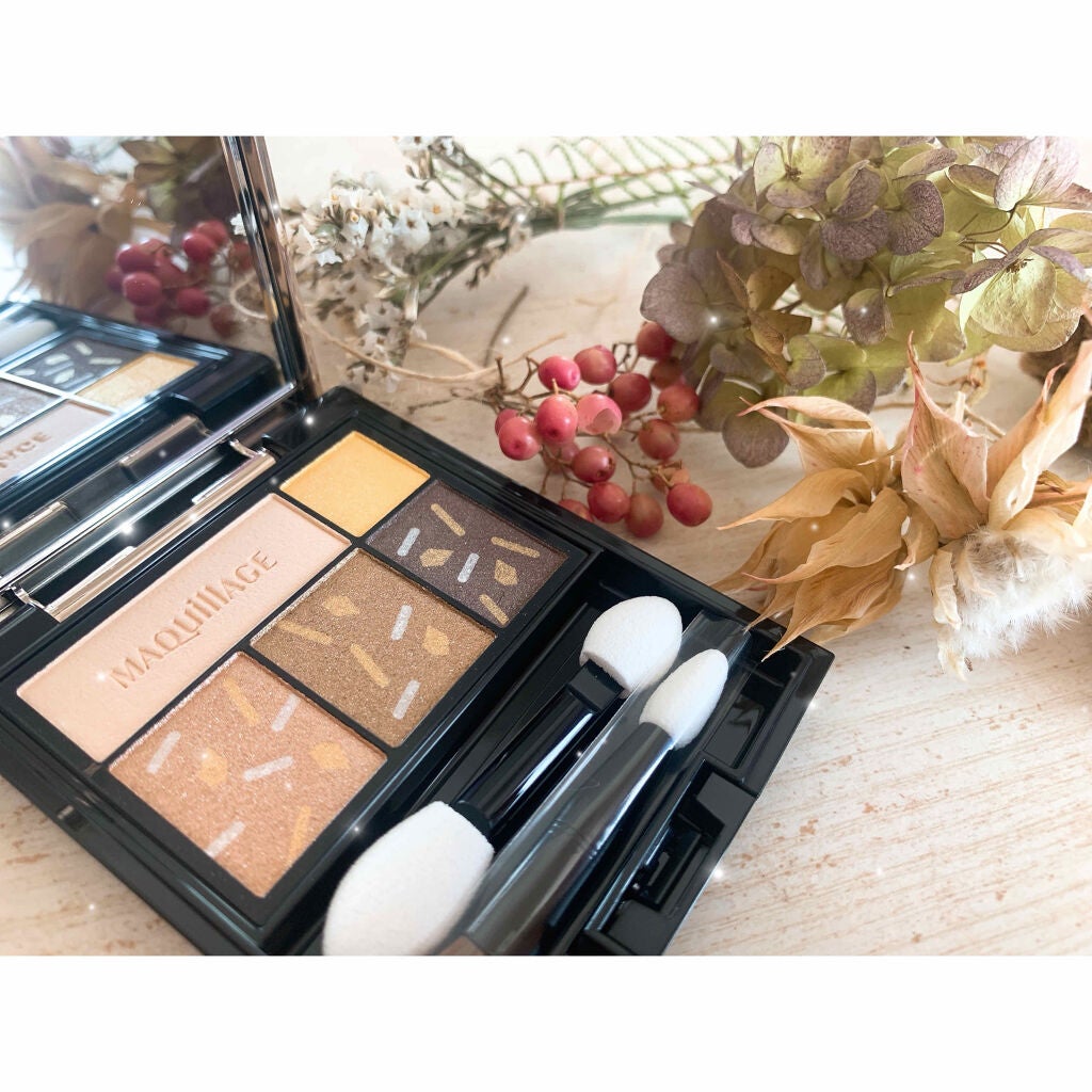 ドラマティックスタイリングアイズ/マキアージュ/アイシャドウパレットを使ったクチコミ(1枚目)