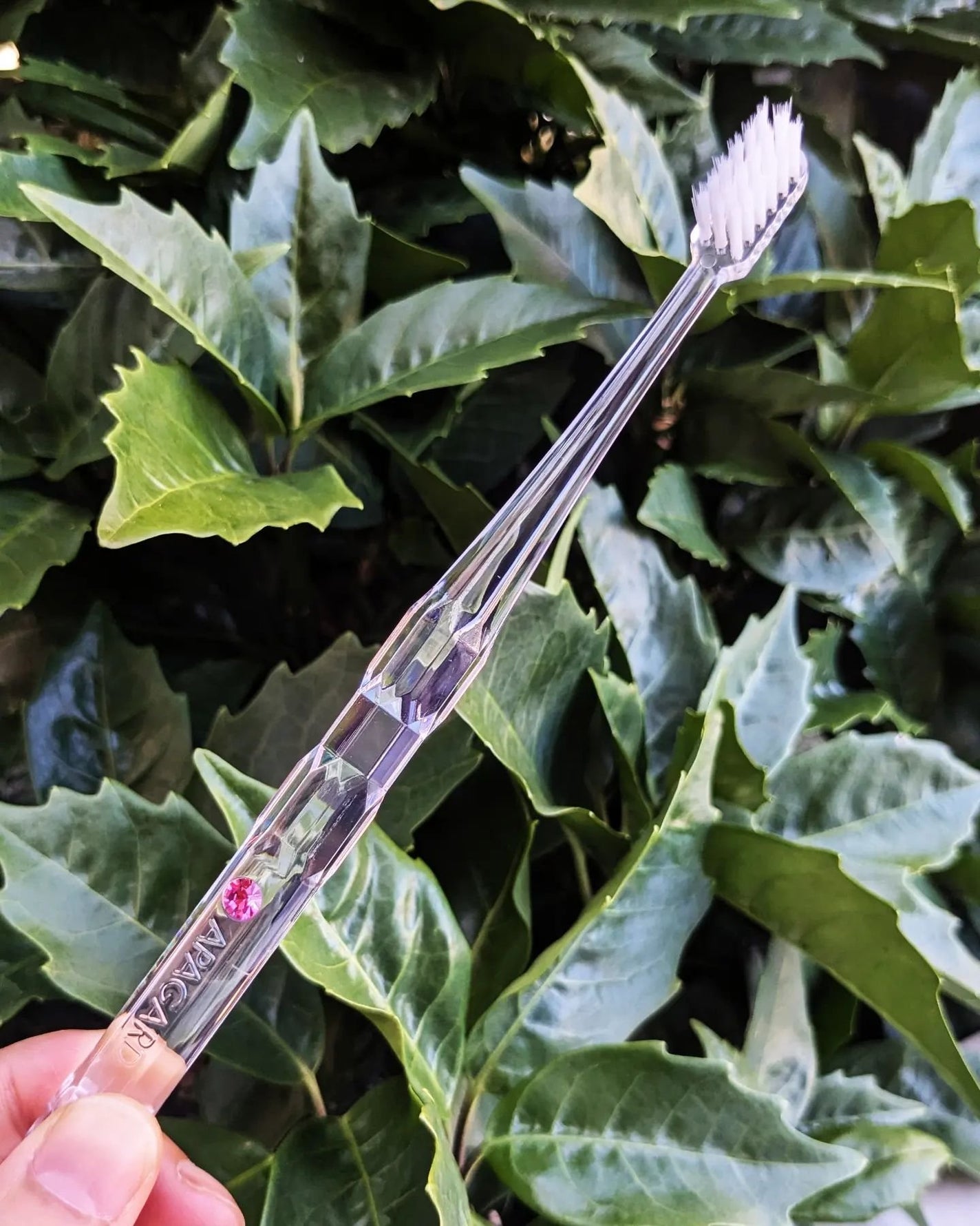 アパガードクリスタル歯ブラシ/アパガード/歯ブラシを使ったクチコミ(3枚目)