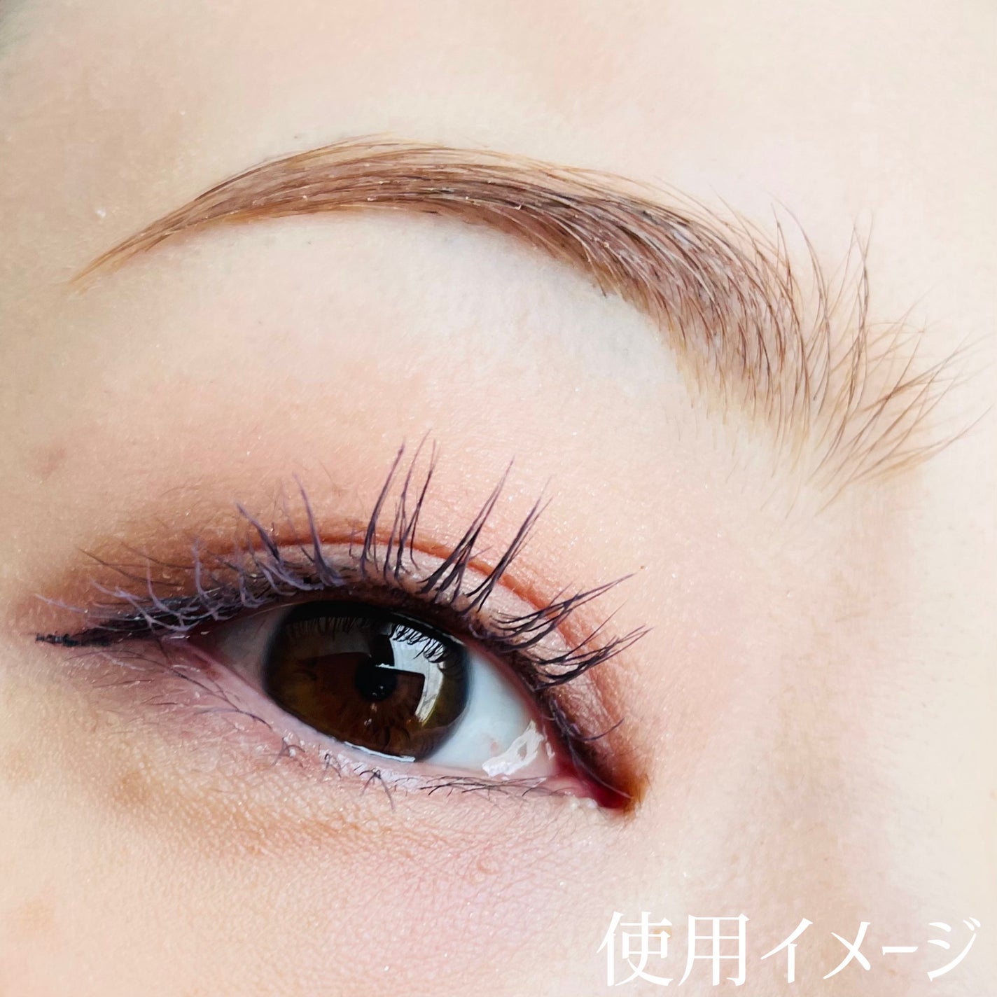 淡眉コンシーラー/シークレットサロン/眉マスカラを使ったクチコミ(4枚目)