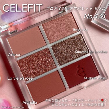 プロアイシャドウパレットセシル/CELEFIT/アイシャドウパレットを使ったクチコミ（3枚目）