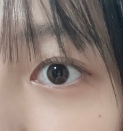 ラスティングマルチアイベース WP/キャンメイク/アイシャドウベースを使ったクチコミ(1枚目)