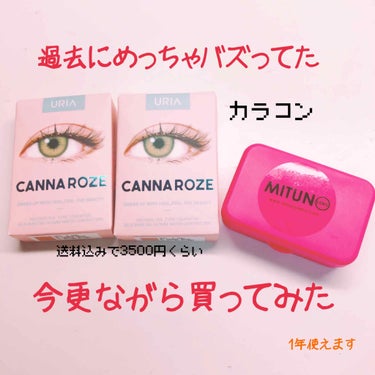 CANNA ROZE (カンナロゼ)/i-DOL/カラーコンタクトレンズを使ったクチコミ（1枚目）