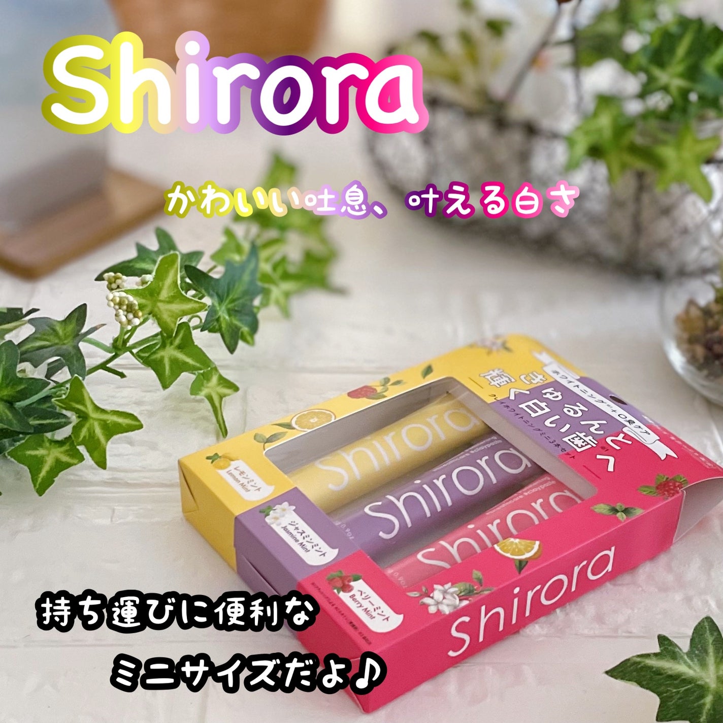 シローラクレイホワイトニングミニ3本セット(レモン&ジャスミン&ベリー)/Shirora/歯磨き粉を使ったクチコミ(1枚目)
