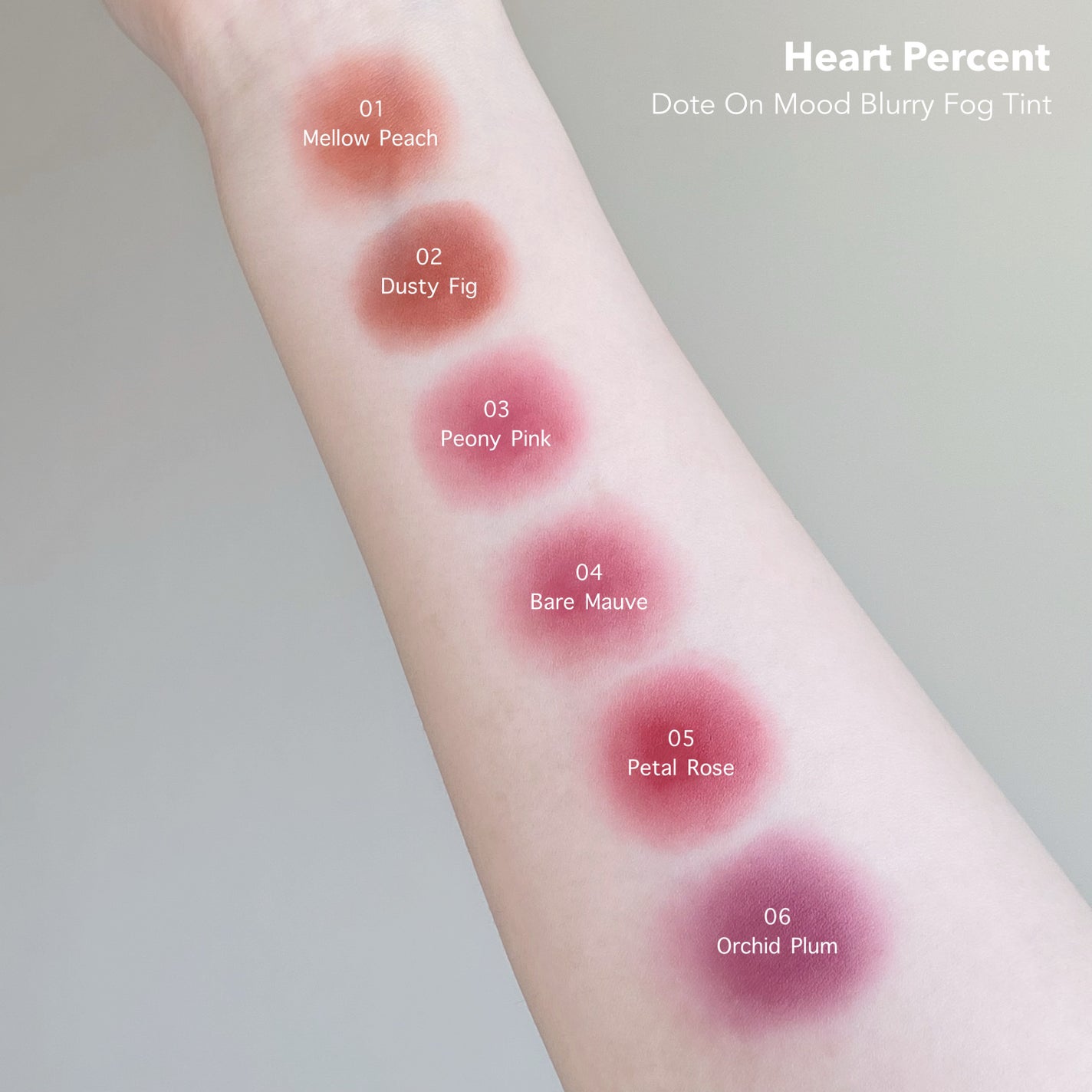 ドットオンムードブラーリーフォグティント/Heart Percent/リップティントを使ったクチコミ(5枚目)