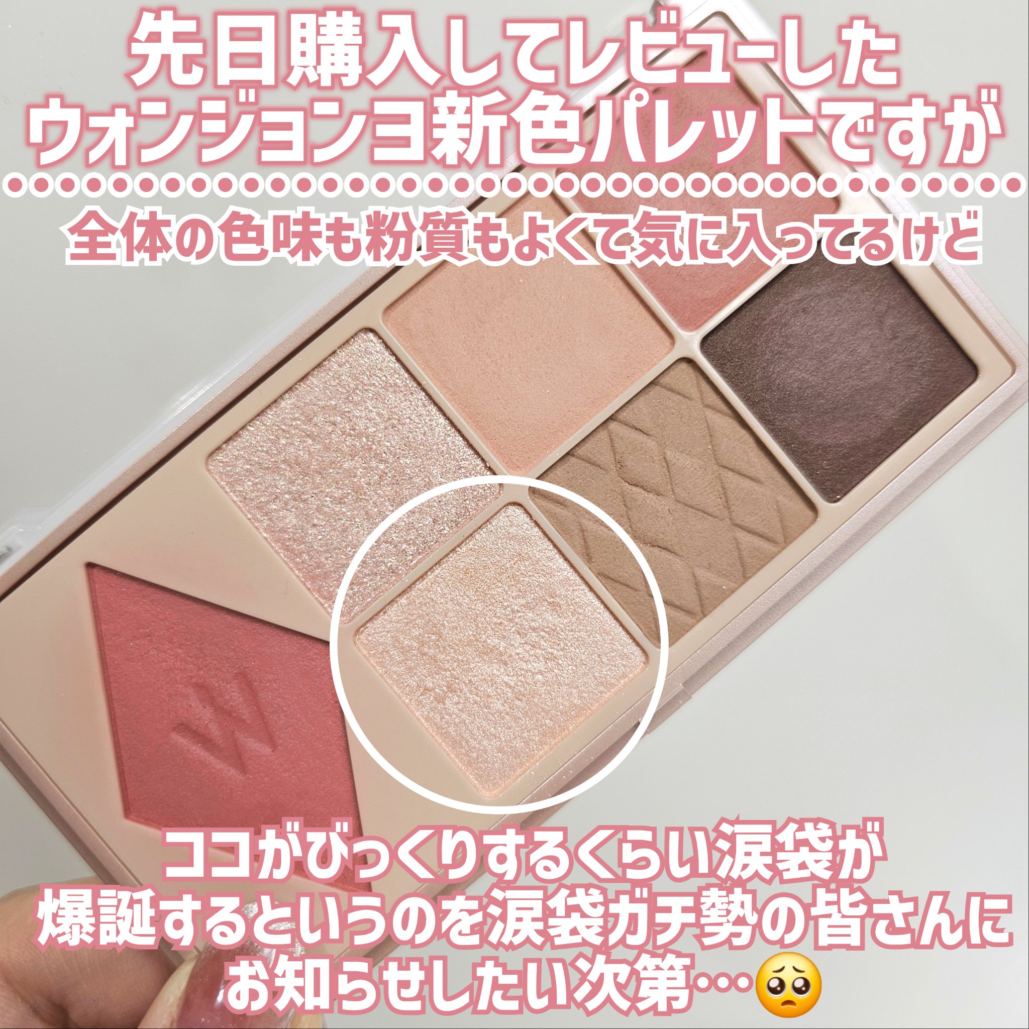 ウォンジョンヨ Ｗ デイリームードアップパレット /Wonjungyo/アイシャドウパレットを使ったクチコミ（2枚目）