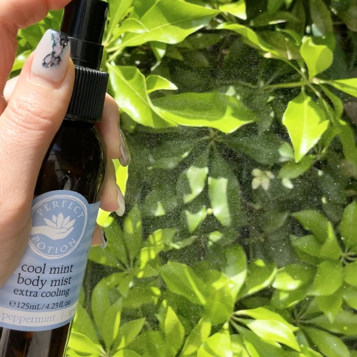 クールミント ボディミスト/パーフェクトポーション/香水(その他)を使ったクチコミ（2枚目）