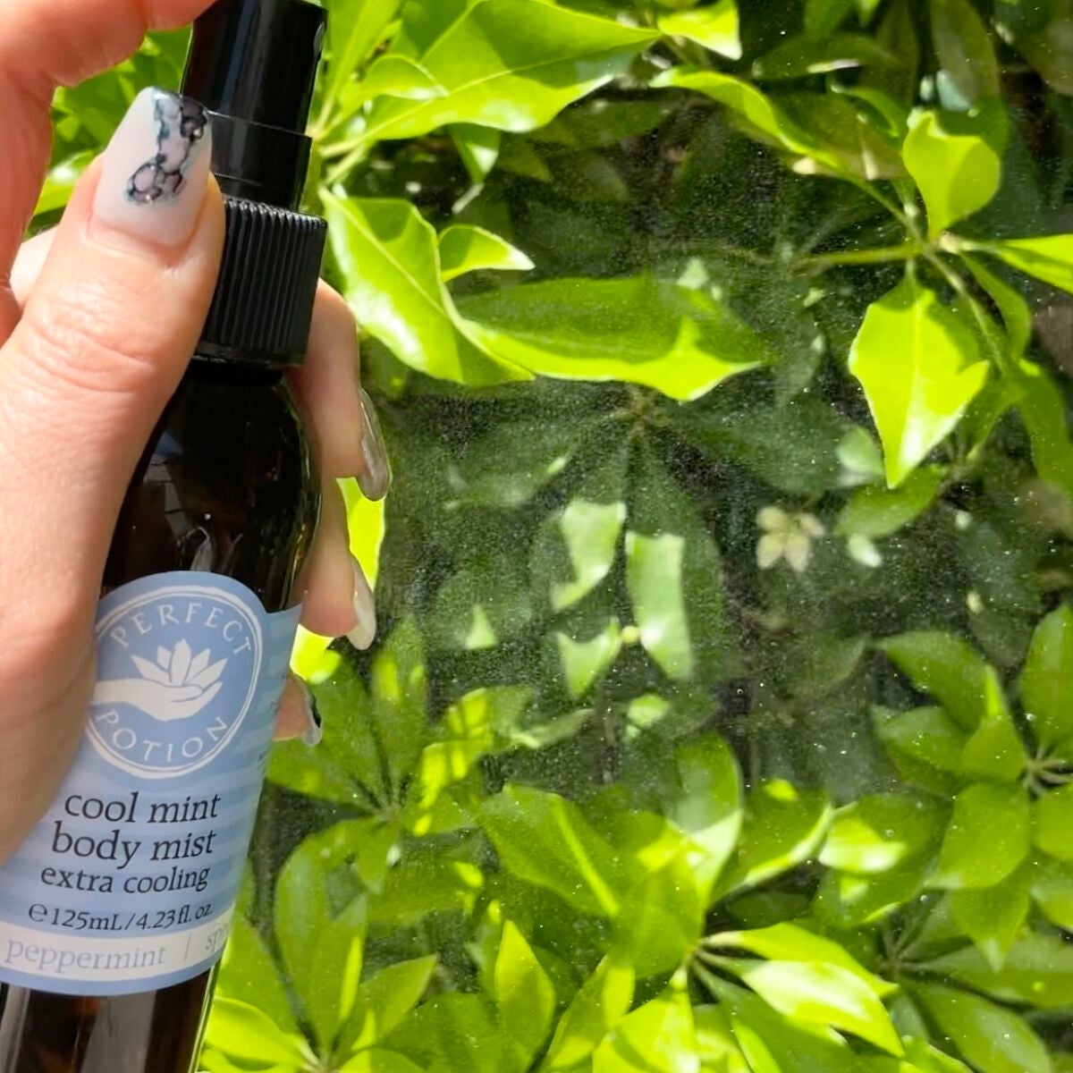 クールミント ボディミスト/パーフェクトポーション/香水(その他)を使ったクチコミ(2枚目)