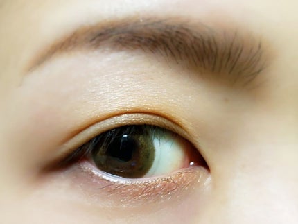 ブラウンシェードアイズN/KATE/アイシャドウパレットを使ったクチコミ(3枚目)