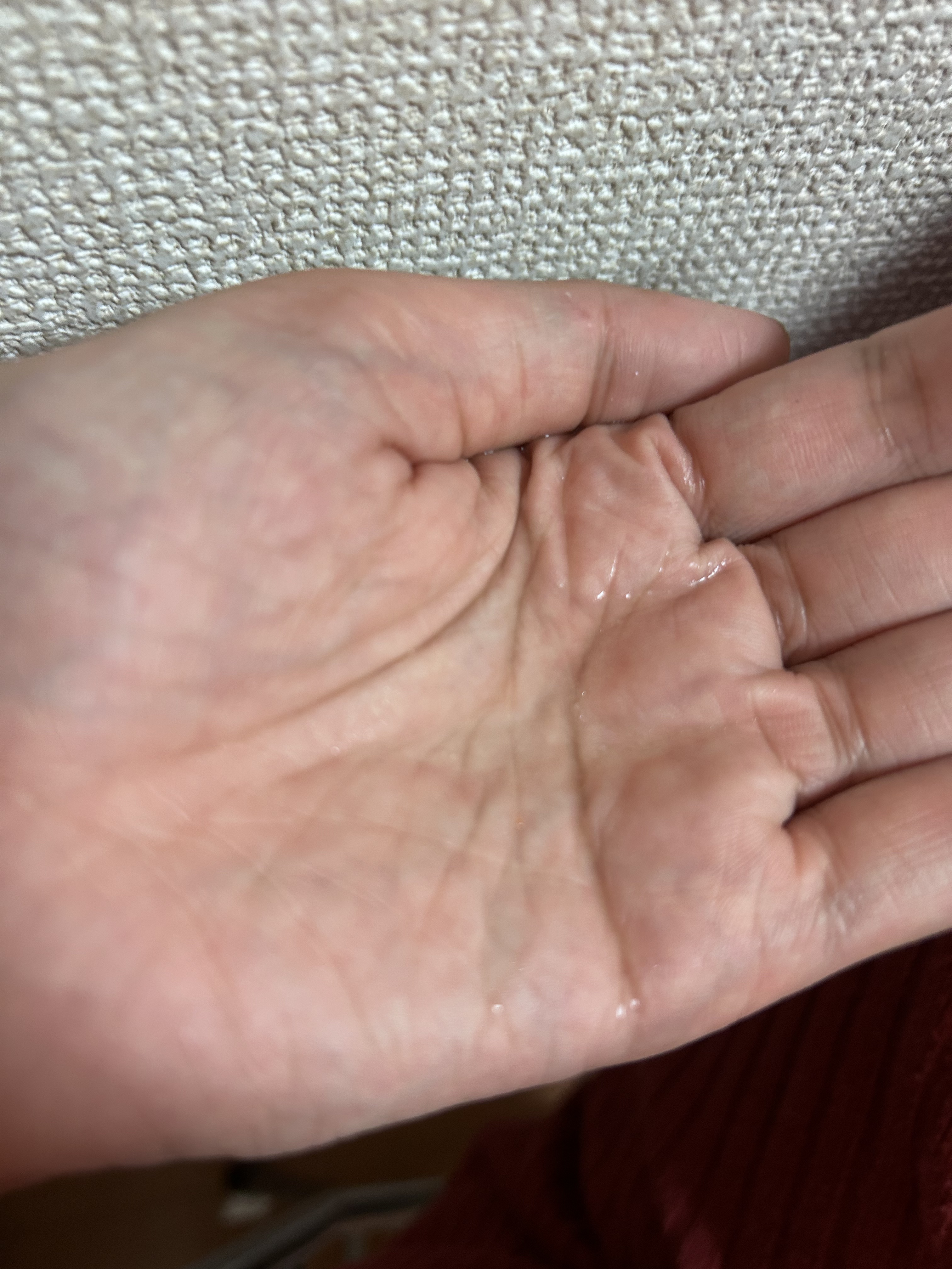 ネクターデルミエール セラム/Melvita/美容液を使ったクチコミ（2枚目）