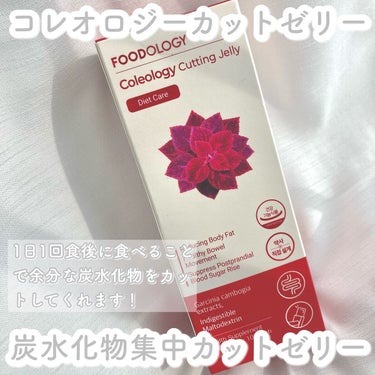 コレオロジー茶/FOODOLOGY/ドリンクを使ったクチコミ（6枚目）