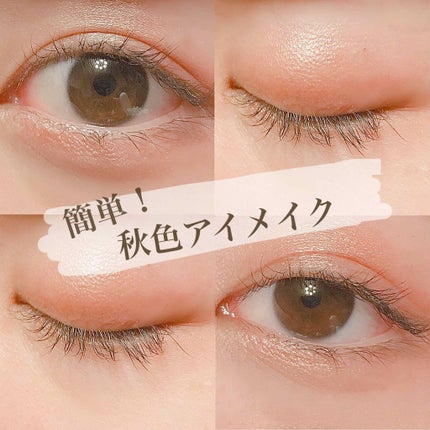 口紅(詰替用)/ちふれ/口紅を使ったクチコミ(1枚目)