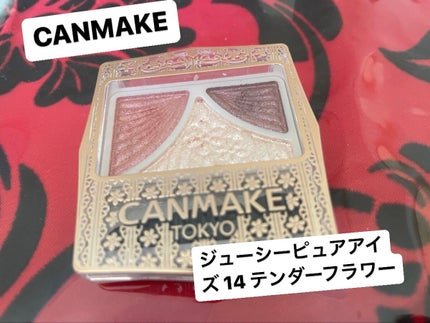 ジューシーピュアアイズ/キャンメイク/アイシャドウパレットを使ったクチコミ(1枚目)