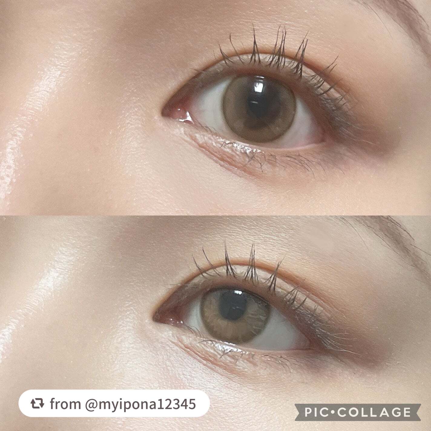 耐久カールスリムマスカラ/CEZANNE/マスカラを使ったクチコミ(7枚目)