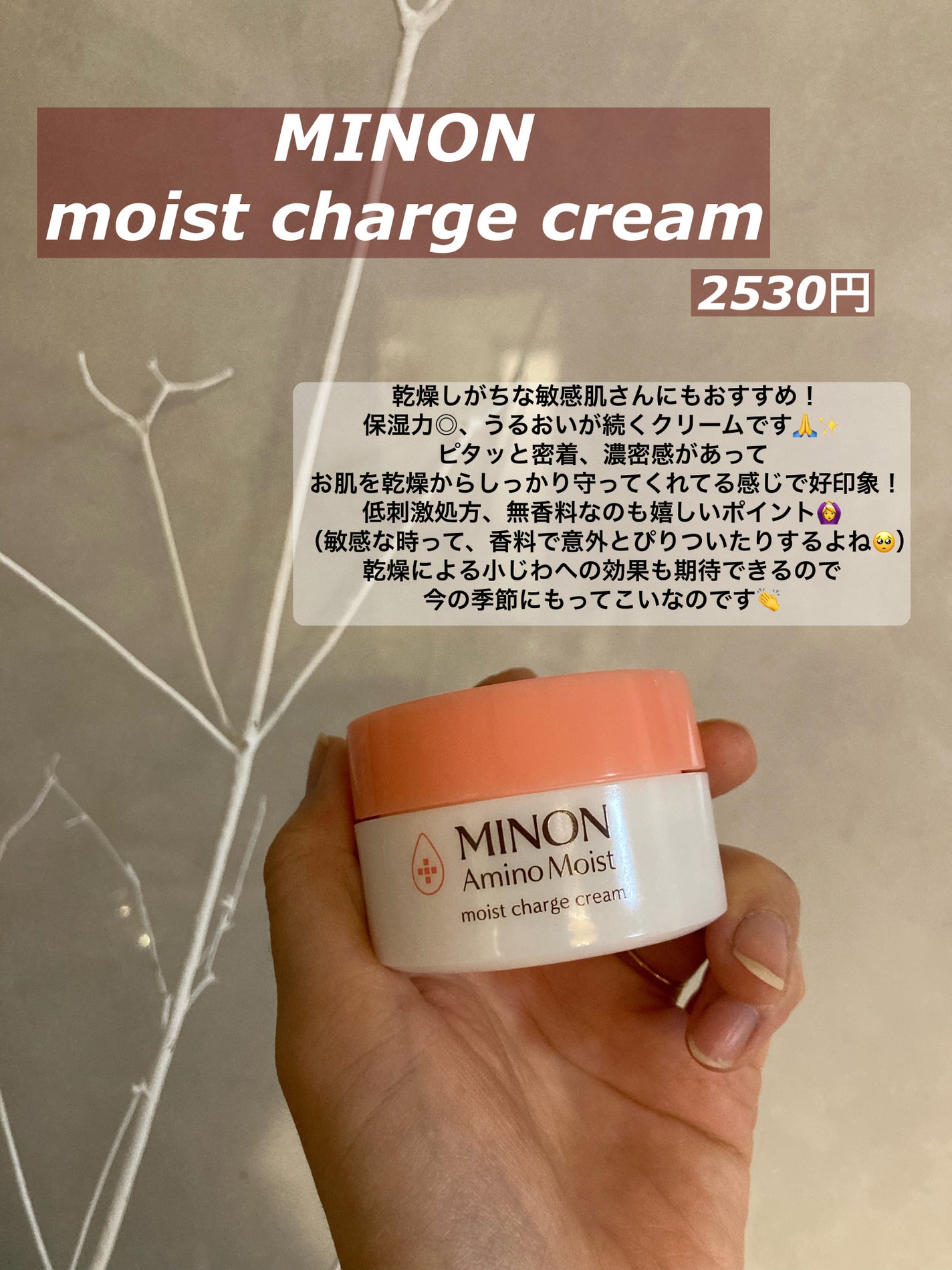 ミノン アミノモイスト モイストチャージ クリーム/ミノン/フェイスクリームを使ったクチコミ(2枚目)