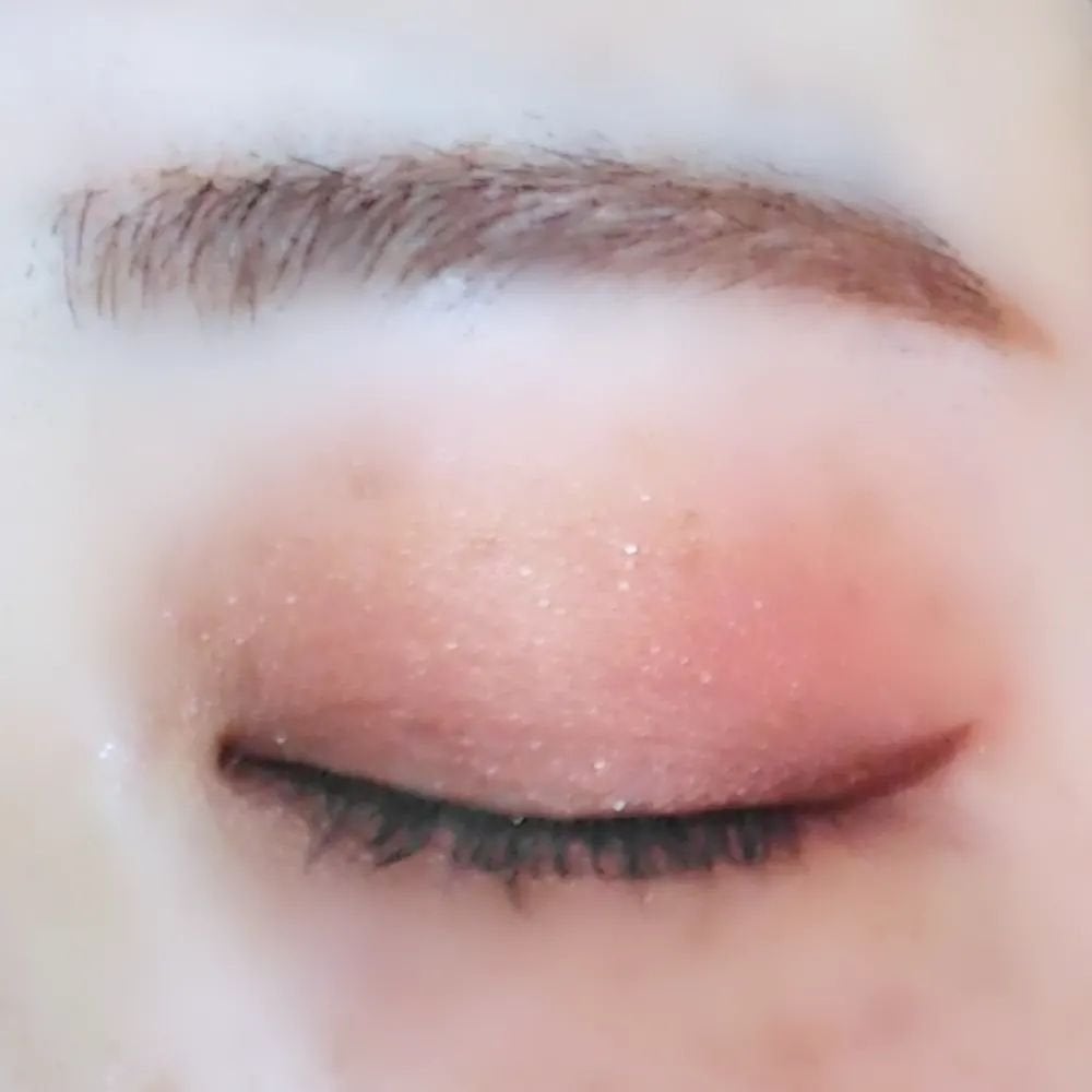 グロッシーリッチ アイズ N/Visée/アイシャドウパレットを使ったクチコミ(5枚目)