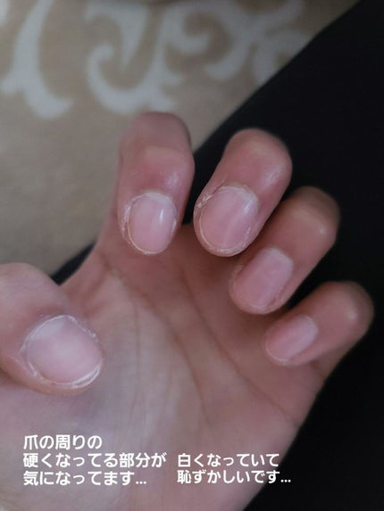 クイックラッシュカーラー/キャンメイク/マスカラ下地を使ったクチコミ(3枚目)