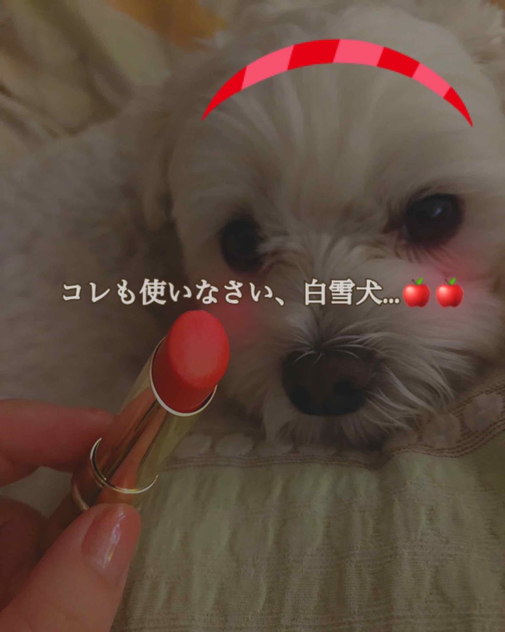 マジョロマンティカ/マジョリカ マジョルカ/香水(レディース)を使ったクチコミ（2枚目）