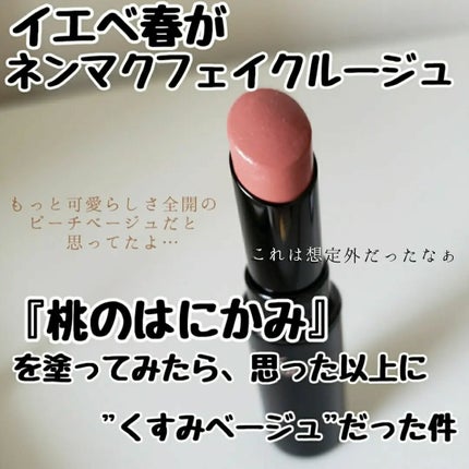 ネンマクフェイク ルージュ/Visée/口紅を使ったクチコミ(1枚目)