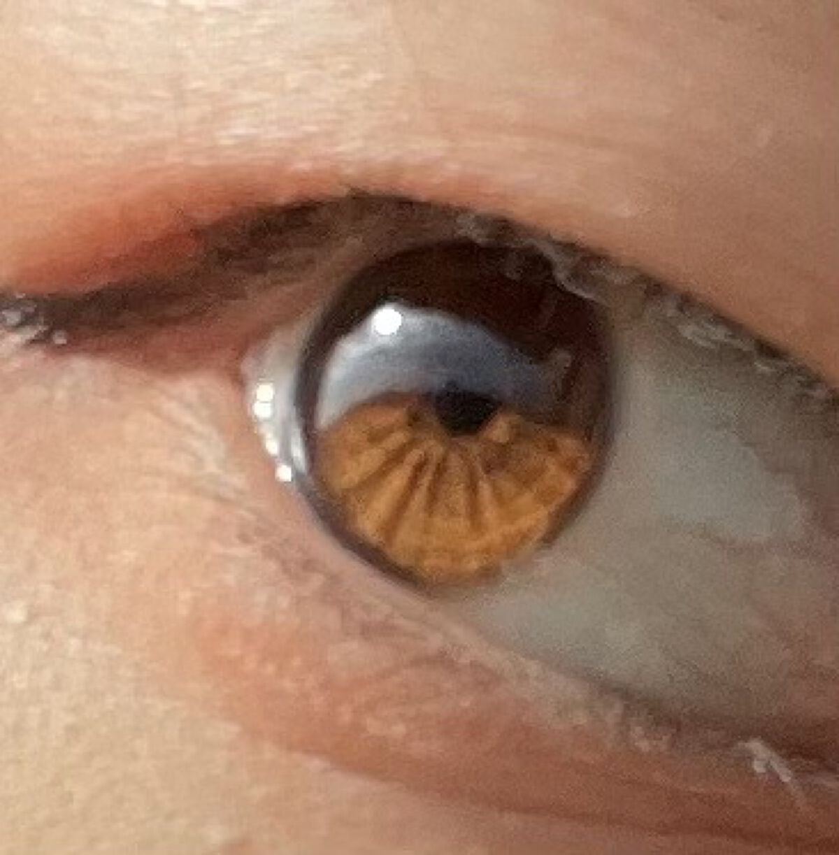 はちみつ青汁/山田養蜂場（健康食品）/青汁を使ったクチコミ（2枚目）