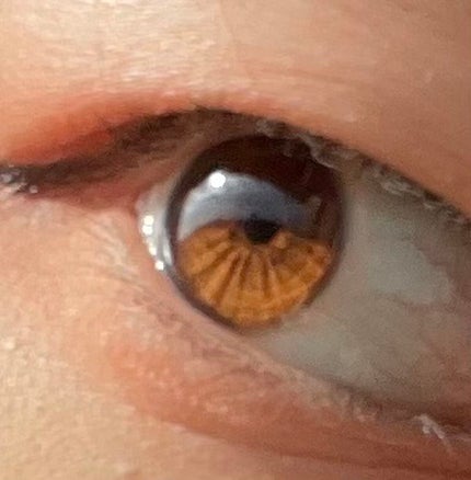 はちみつ青汁/山田養蜂場(健康食品)/青汁を使ったクチコミ(2枚目)