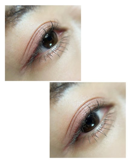 シルキースフレアイズ/キャンメイク/アイシャドウパレットを使ったクチコミ(5枚目)