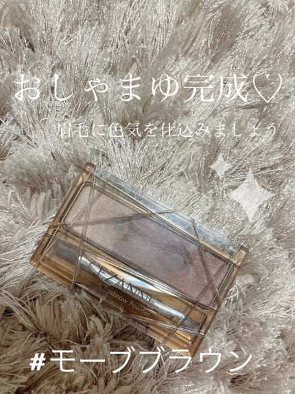 ノーズ&アイブロウパウダー/CEZANNE/パウダーアイブロウを使ったクチコミ(1枚目)