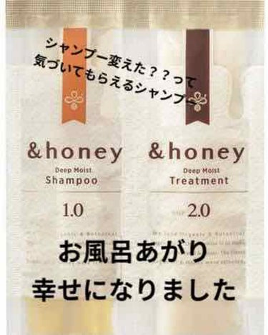 ディープモイスト シャンプー1.0／ヘアトリートメント2.0/&honey/シャンプー・コンディショナーを使ったクチコミ（1枚目）