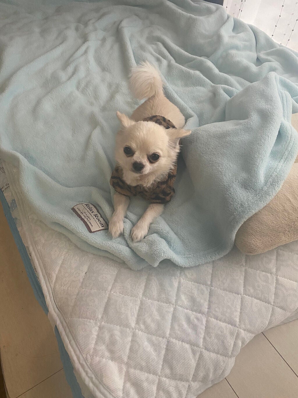 アイ カラー クォード/TOM FORD BEAUTY/アイシャドウパレットを使ったクチコミ(9枚目)