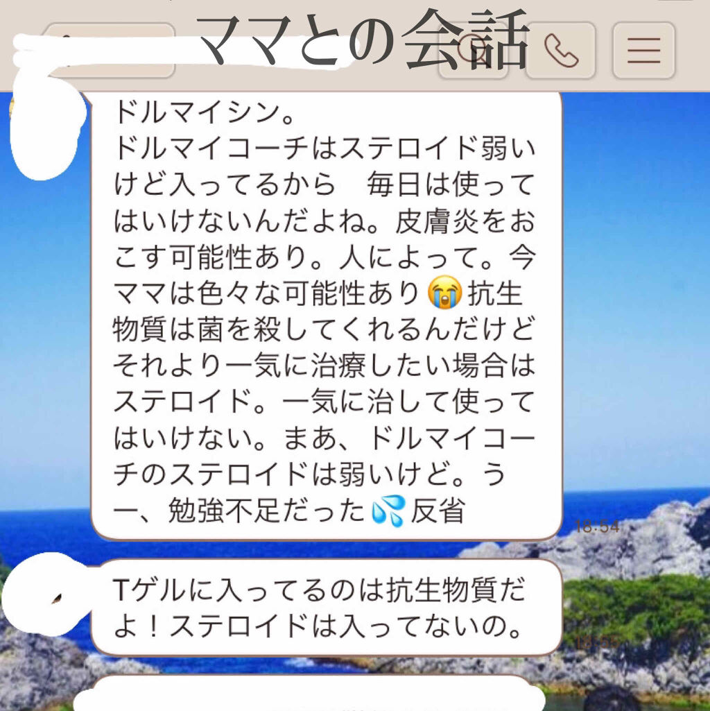 試してみた ドルマイコーチ軟膏 医薬品 ゼリア新薬工業 Lips